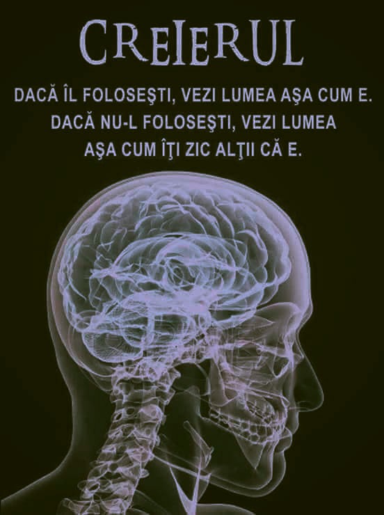 Lory_Radulescu's tweet photo. #creier https://t.co/fvgNefd3hS