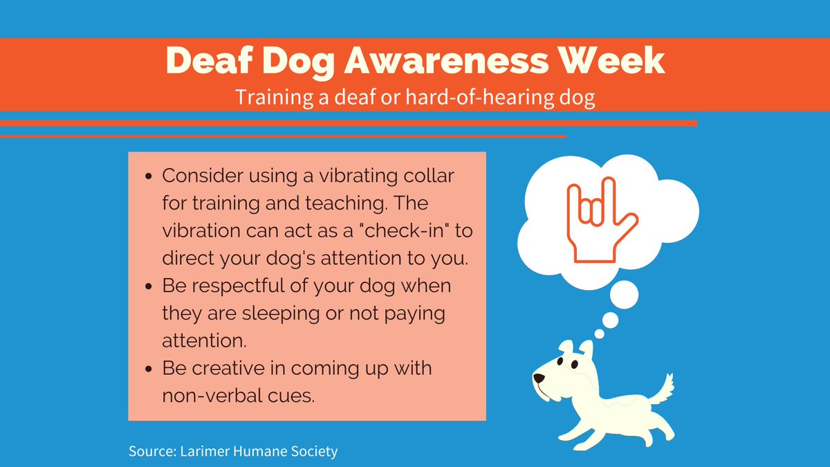 NashAnimalCare's tweet photo. Today is the final day of #DeafDogAwarenessWeek, a special week for special dogs! These training tips from @LarimerHumane highlight some of the ideas worth keeping in mind if you adopt a deaf dog.
#deafdogsrock #deafdogsofinstagram #deafdogawarenessweek #maccpack https://t.co/9A0lemgZk2