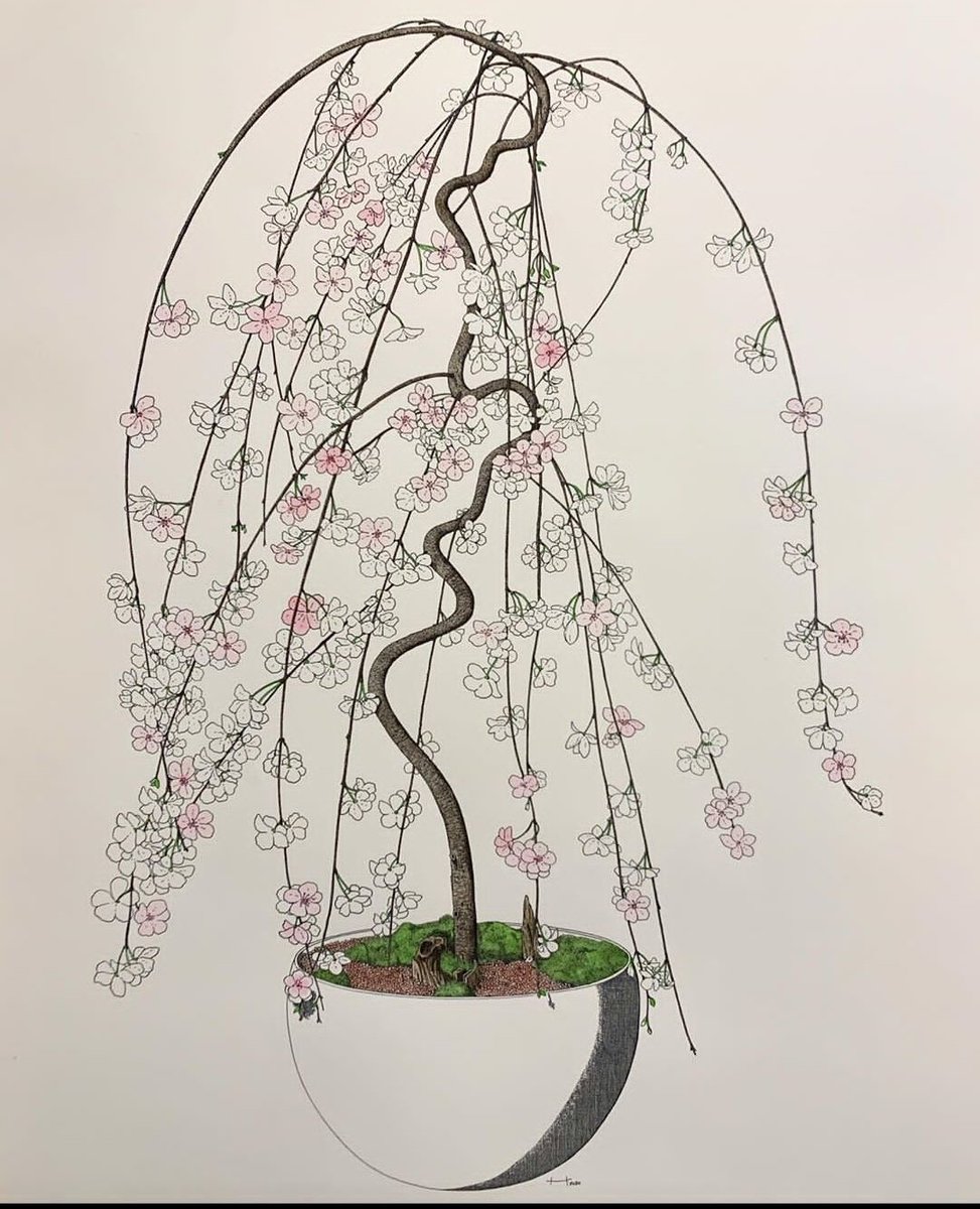 okaynamgi's tweet image. suddenly thinking about the way namjoon commissioned someone to draw a portrait of his bonsai named cherry