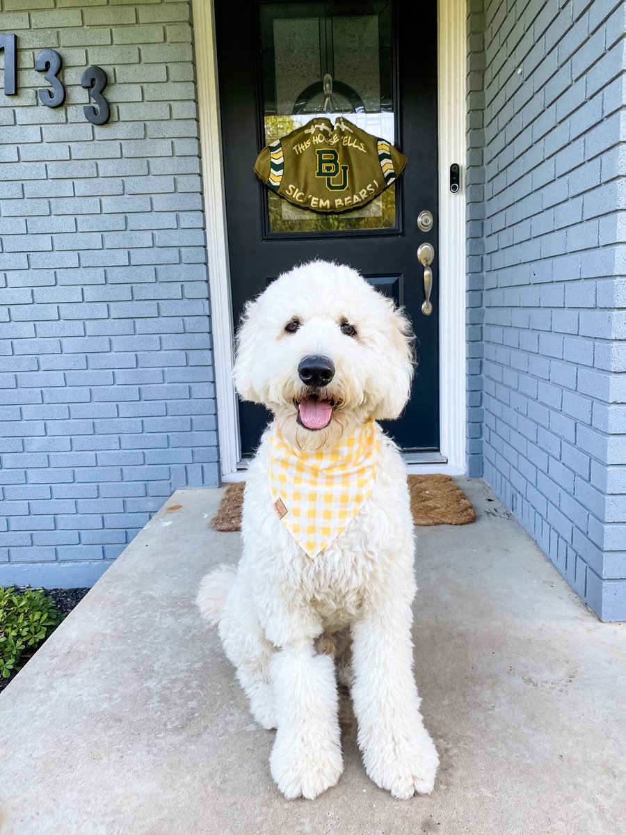 WacoDood's tweet photo. Ready for Baylor game day! #SicEm #Baylor https://t.co/BwHHZS7Mm1