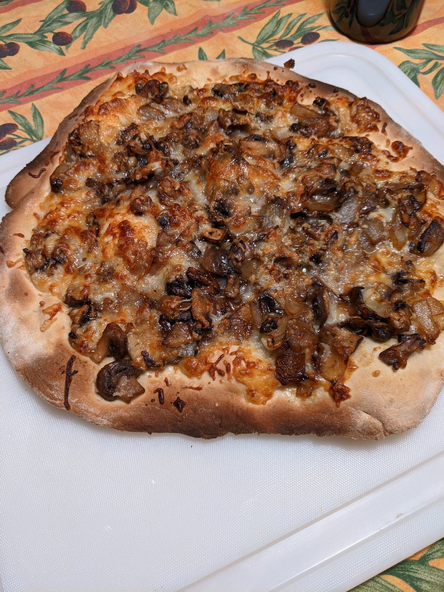 Pizza 1. Dough is GREAT. Shoulda taken some bubble pics but it's mostly eaten now. Mushroom, garlic, onion and cheese on top.