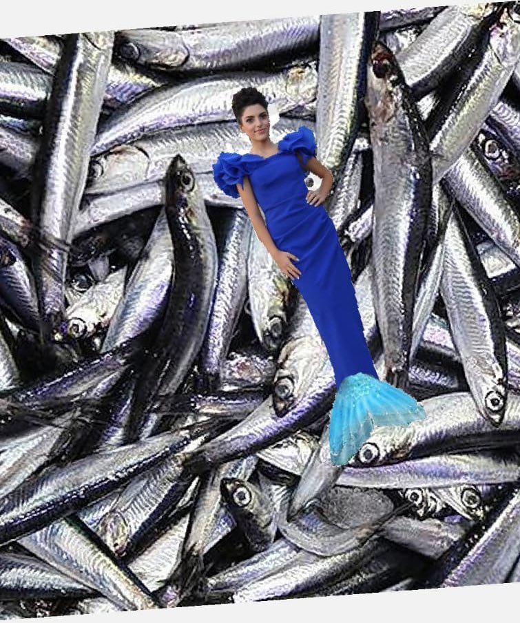 Trabzonlu arkadaşım ‘fotoğrafını at da filtre yapıyım’ demiştir :