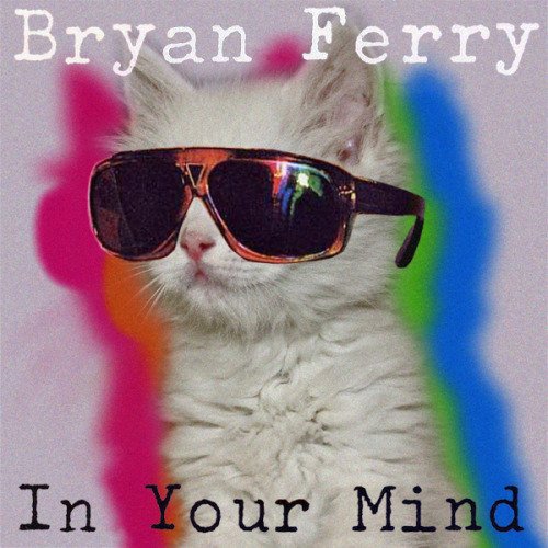 Happy Caturday! (also Bryan Ferry\s birthday)     