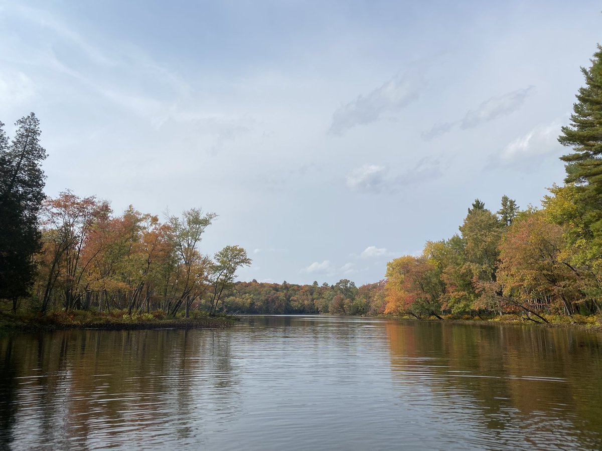 CPudel's tweet photo. A wonderful afternoon on Eels Creek, in the Kawartha’s! Stephen, Cooper🐾 and I went for the last swim of 2020!  It was cold 🥶but refreshing!  #CottageCountry #Kawarthas #warmfallday https://t.co/NvXWcRFSLT #realtor @StephenHladysh @kawarthaNOW @cottagelife https://t.co/tAxkfAQAco