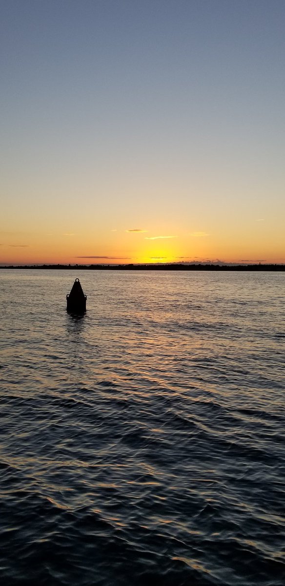 Pabsdash's tweet image. 