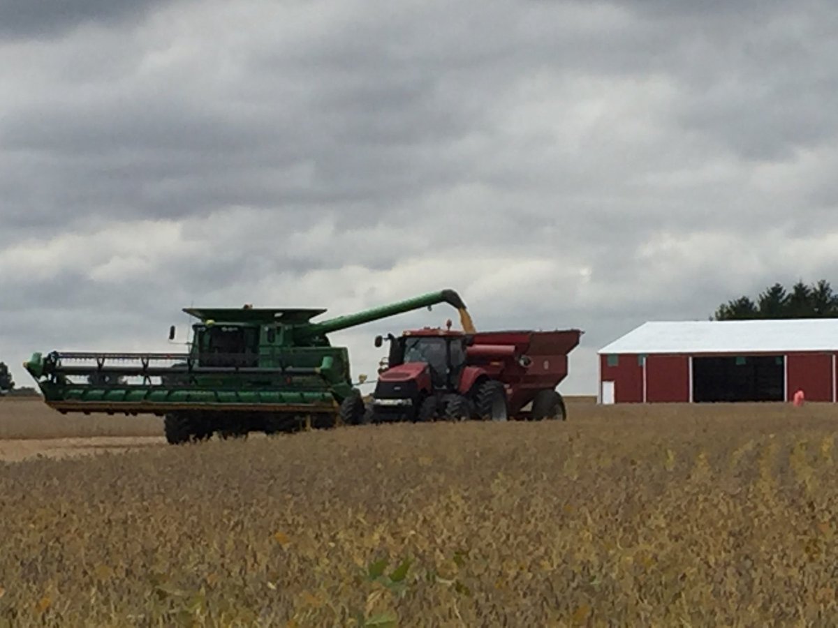 #Harvest 2020