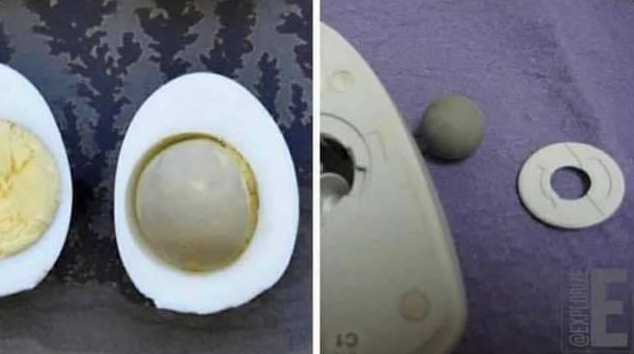 _katt_mo's tweet photo. sabían que antes la gente tenia que hervir un huevo para ponérselo al mouse una vez a la semana? https://t.co/rdesC4CULJ