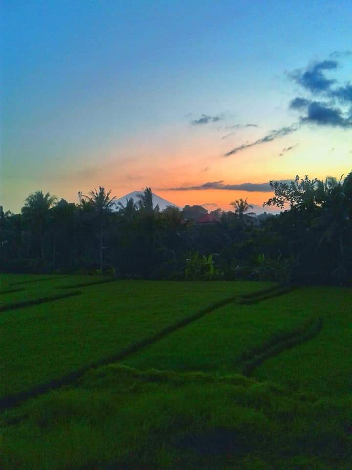 MYantiara's tweet photo. Good morning
Have a fabulous weekend!
#weekend #sunday #sundaymorning #sundayview #sundayvibes #view #view #SundayFunday #buonadomenica #buongiorno #ubud #bali #baliisland #islandofgod #rahajengsemeng #selamatpagi #balibagus #vacation #weekendmood #weekendfun https://t.co/iAGUWaQuIu