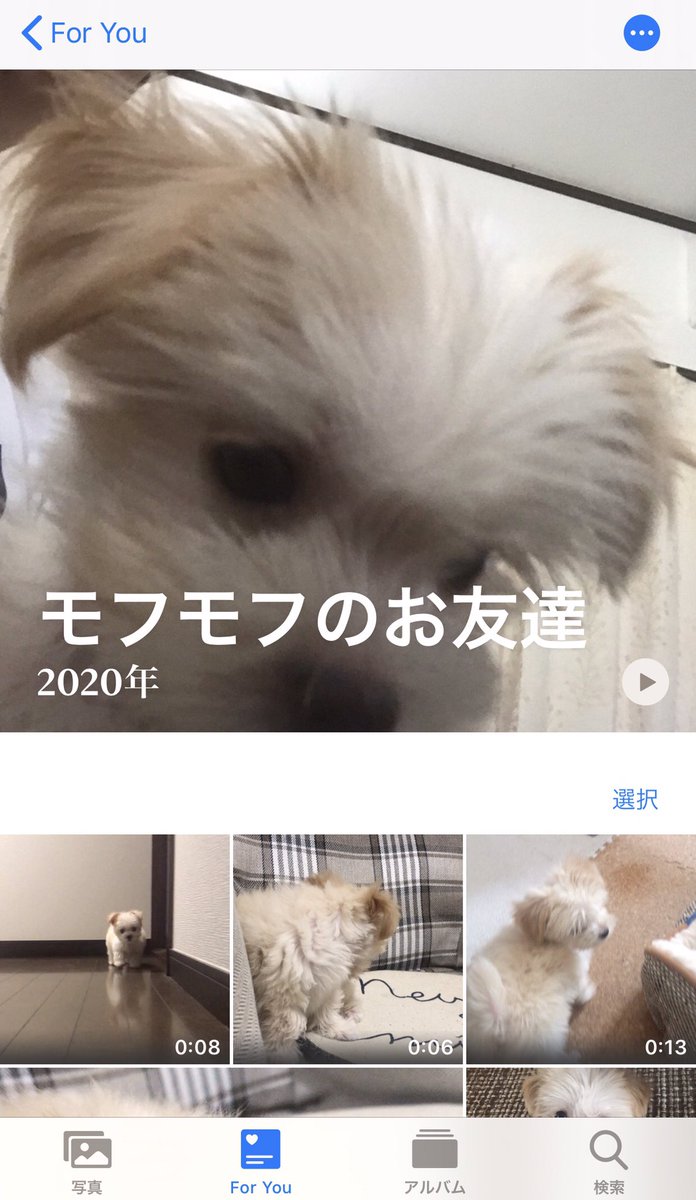 モフモフのお友達 という名のiphoneが勝手に作ってくれるメチャカワアルバム Togetter モフモフのお友達 という名のiphoneが勝手に作ってくれるメチャカワアルバム Togetter