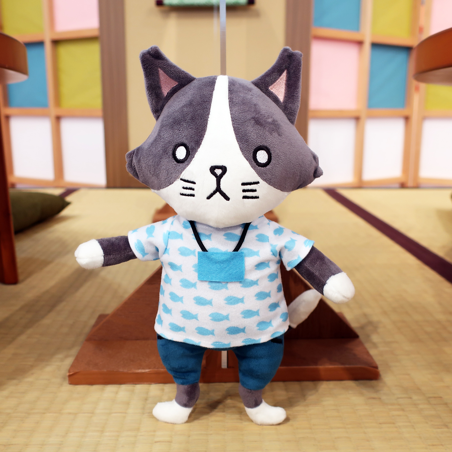 猫のひたいほどワイド on Twitter: