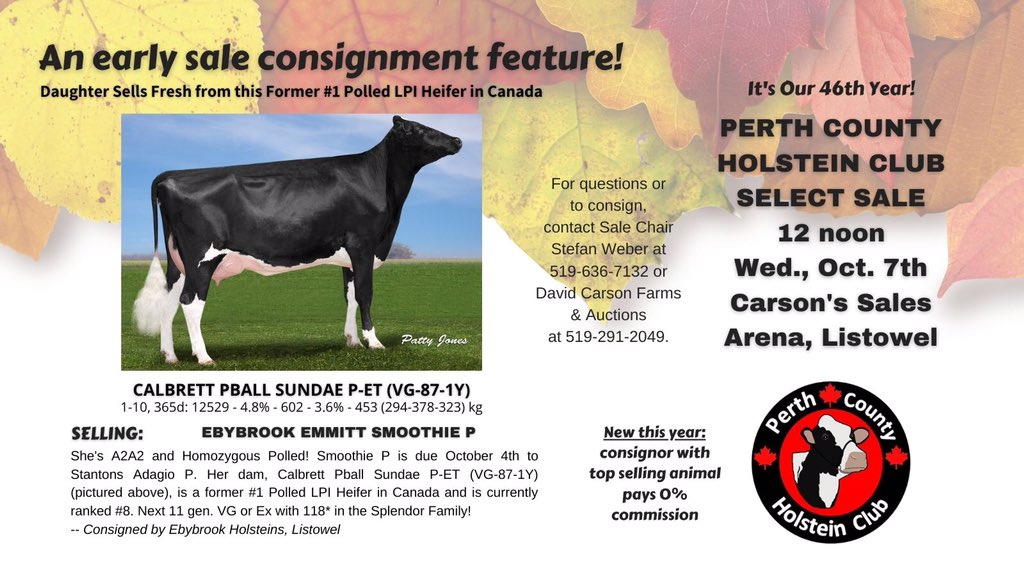 Perth County Holstein Club tweet media