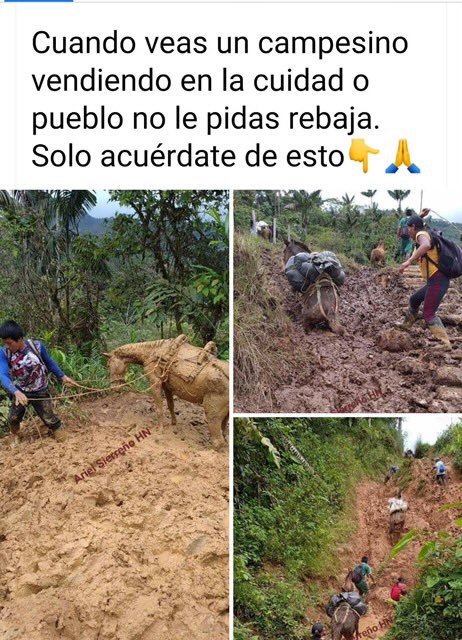 Álvaro Uribe Vélez (@alvarouribevel) on Twitter photo 