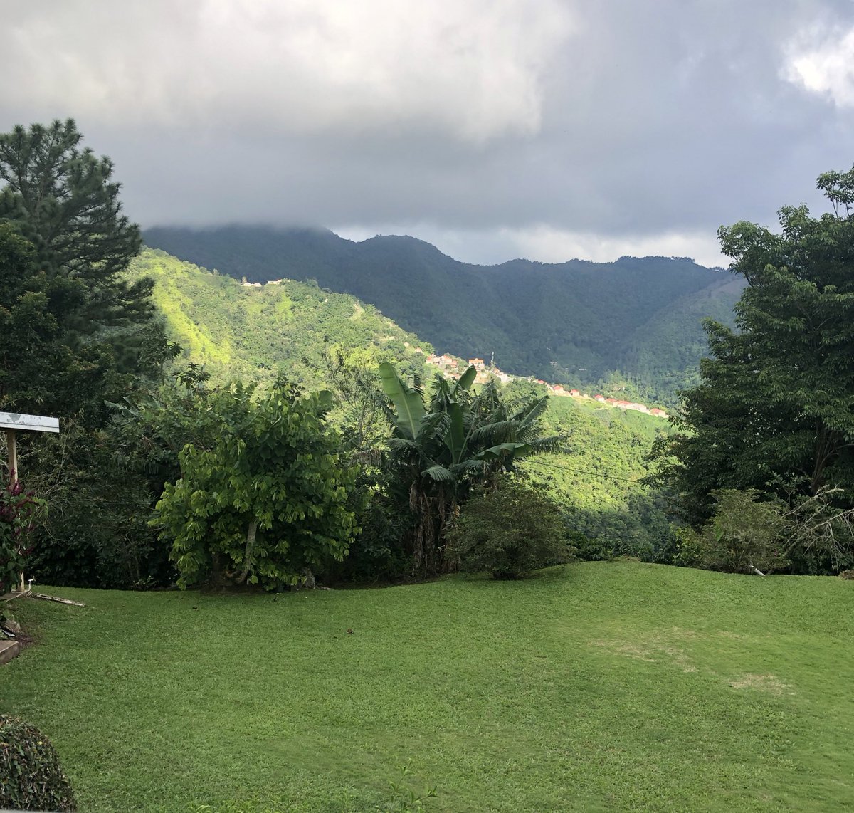 Peace & Quiet #Jamaica #BlueMountains - Far from the maddening crowd. https://t.co/w8tPlHg2iu