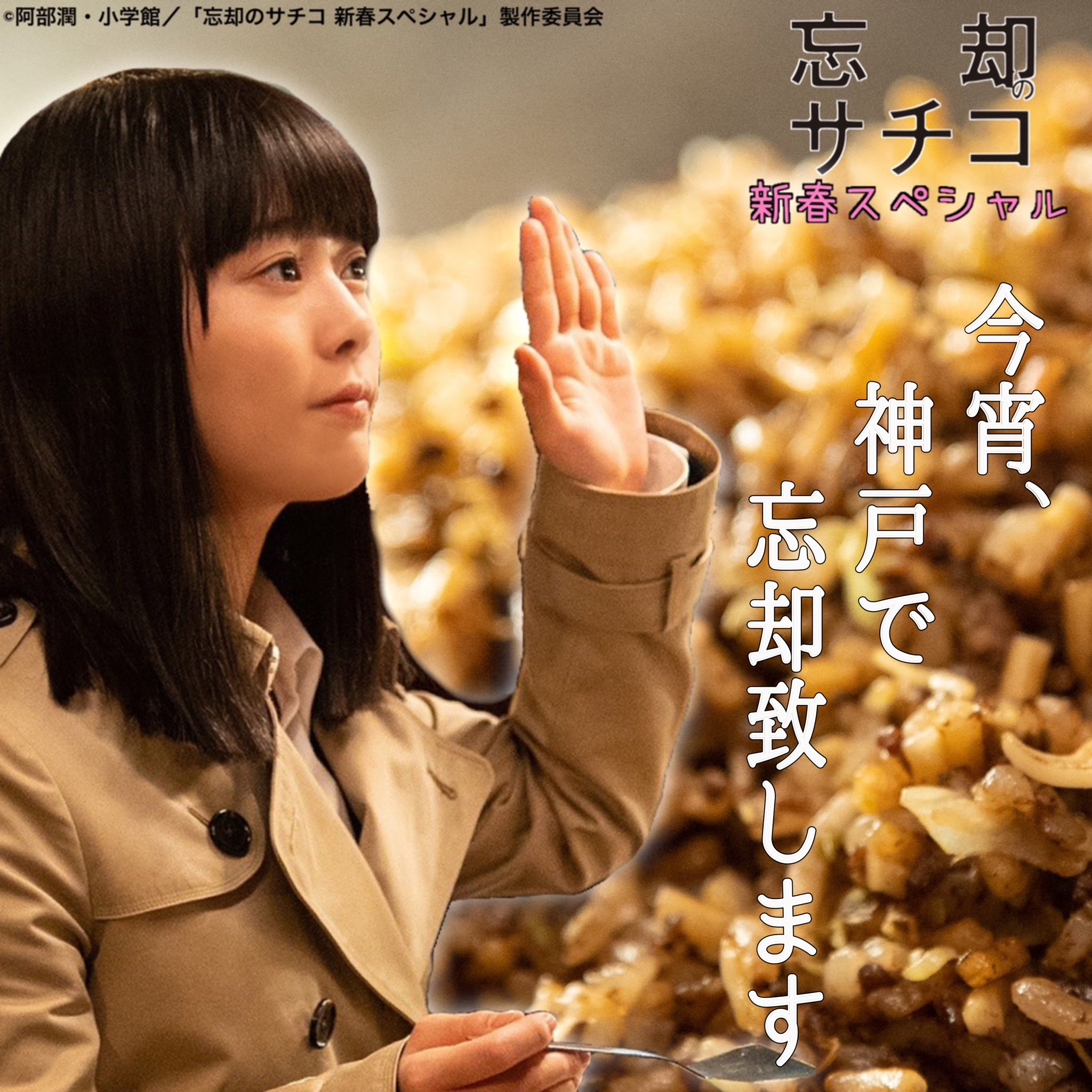 DVD　忘却のサチコ 全4枚 全巻セット　高畑充希　早乙女太一　葉山奨之 DVD 忘却のサチコ 全4枚 全巻セット 高畑充希 早乙女太一 葉山奨