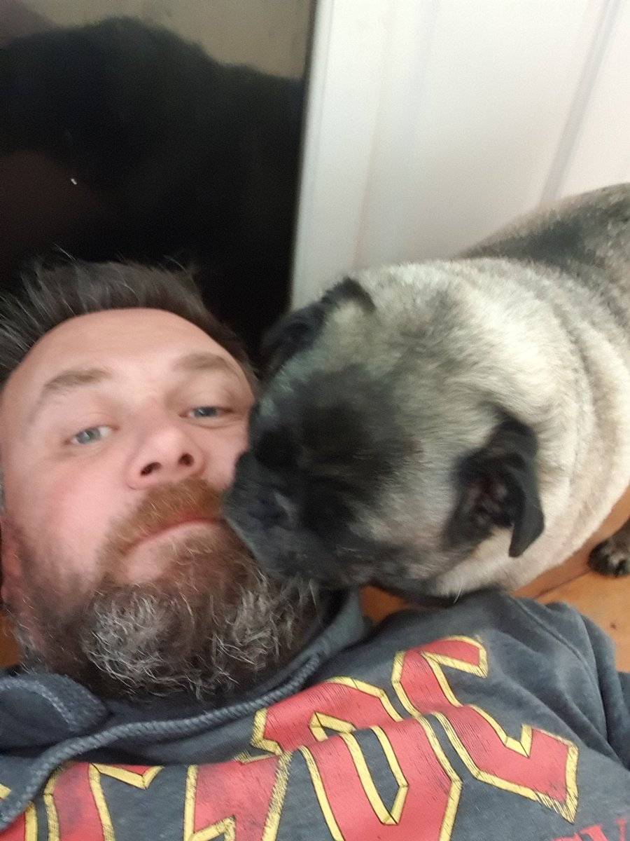 MarcGeorgeson's tweet image. Bella the Pug loves to help me when I'm doing DIY.
Here she is guarding the box of tiles from thieves and also giving my beard a clean while I'm in the most awkward position trying to turn the water off!
#pugs #diy #NOTGameDev