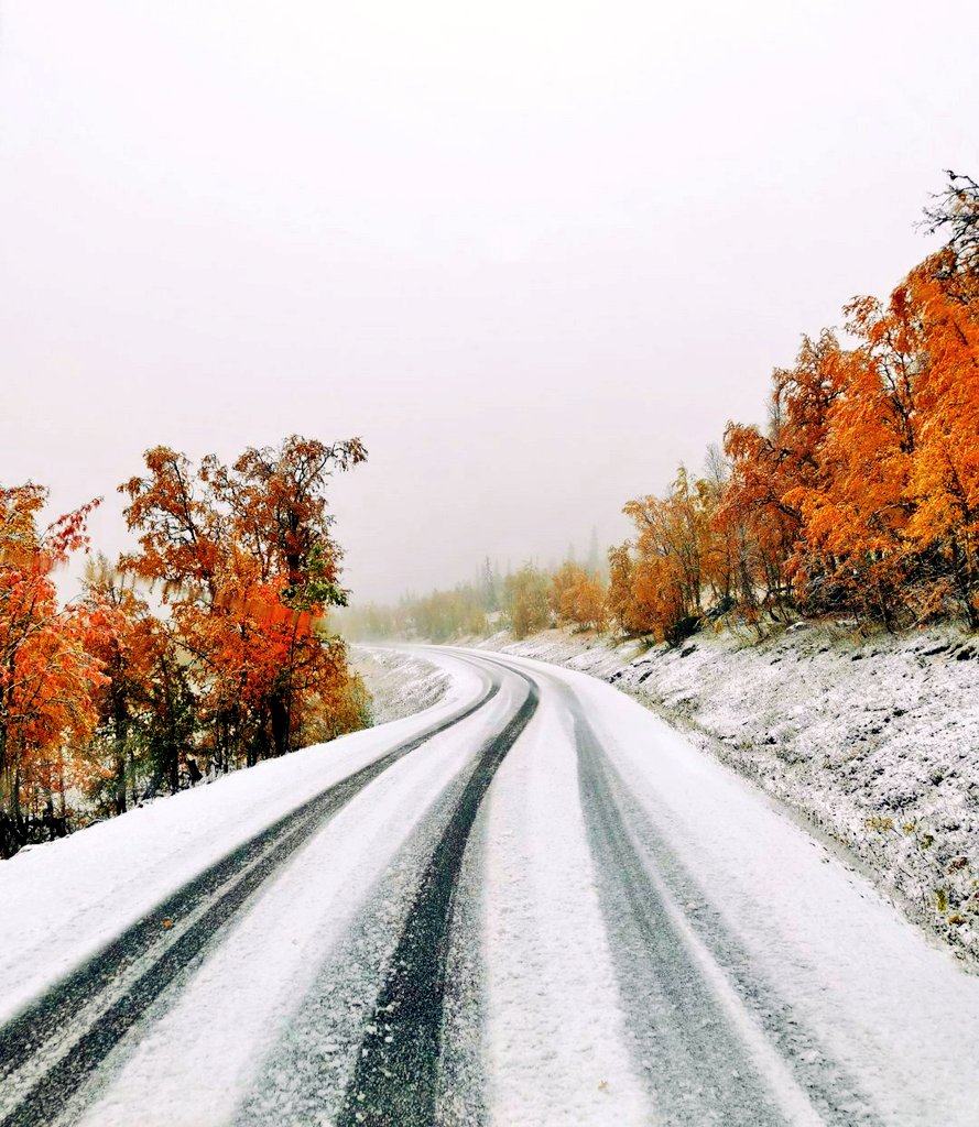 rykarlsen's tweet photo. Beberapa hari ini, ketika autumn bertemu winter di Norway 😊 https://t.co/AQDpacjgqV