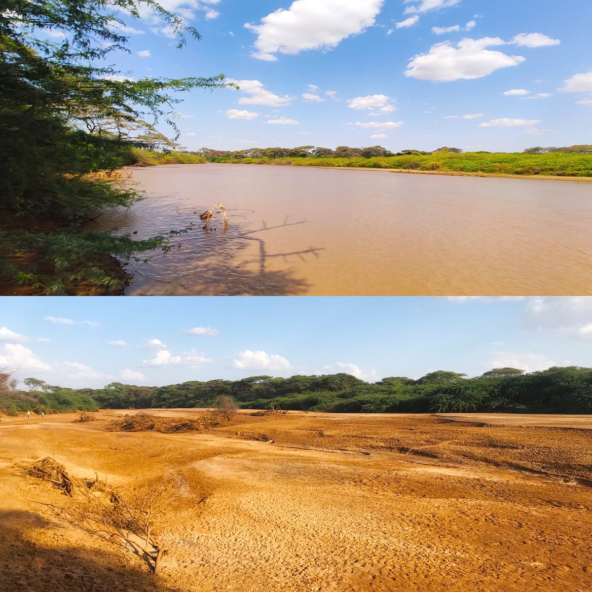 Contrast of Ewaso Nyiro river near Lorian swamp during the dry and rainy season.