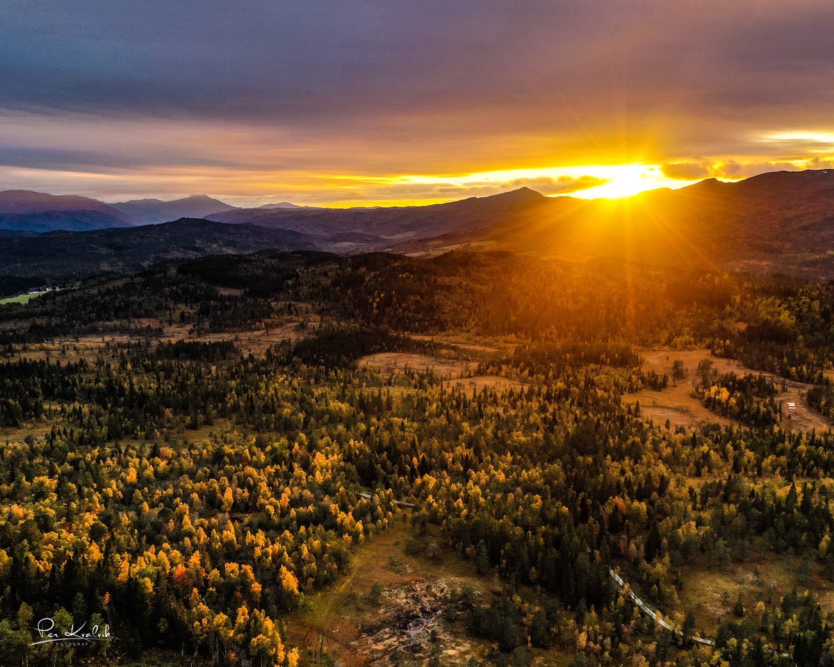 Per Kvalvik tweet media