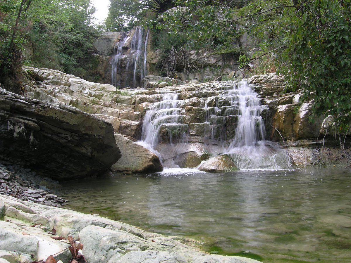 Aquila Romagnola tweet media