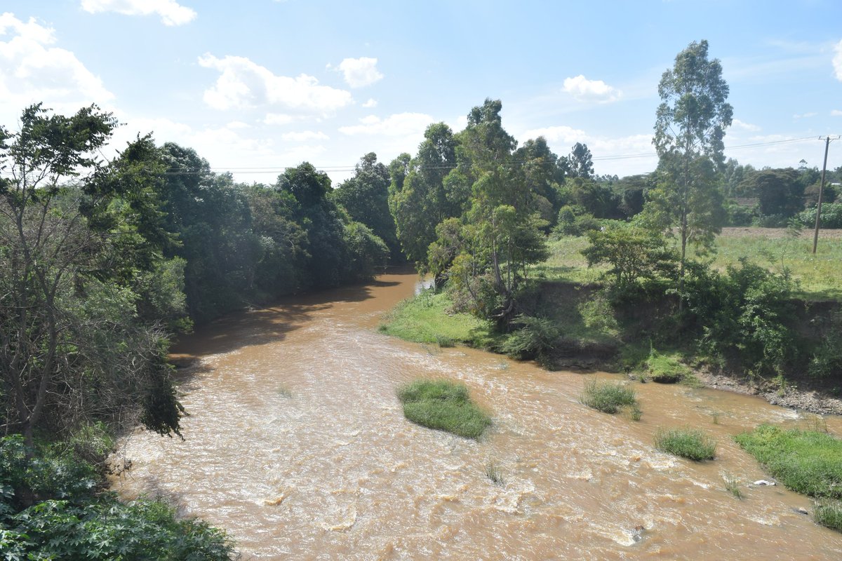 Mara river upstream near Bomet. The river sustains the Mara/Serengeti ecosystem.