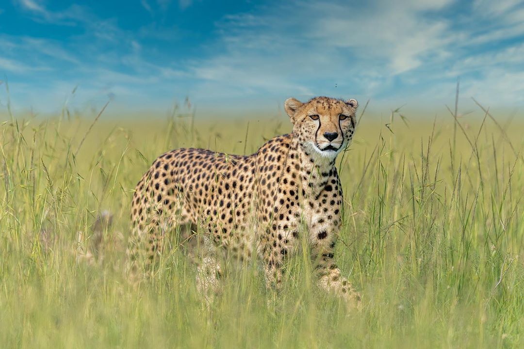 kenyapics's tweet photo. When was the last time you were at the park?
Photos by Shreya Patel, @abubasel72, @santigris and @acsafaris https://t.co/LzgLN8iQSL