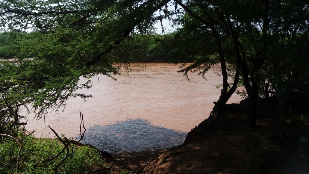 Ewaso Nyiro river near Merti, Isiolo.