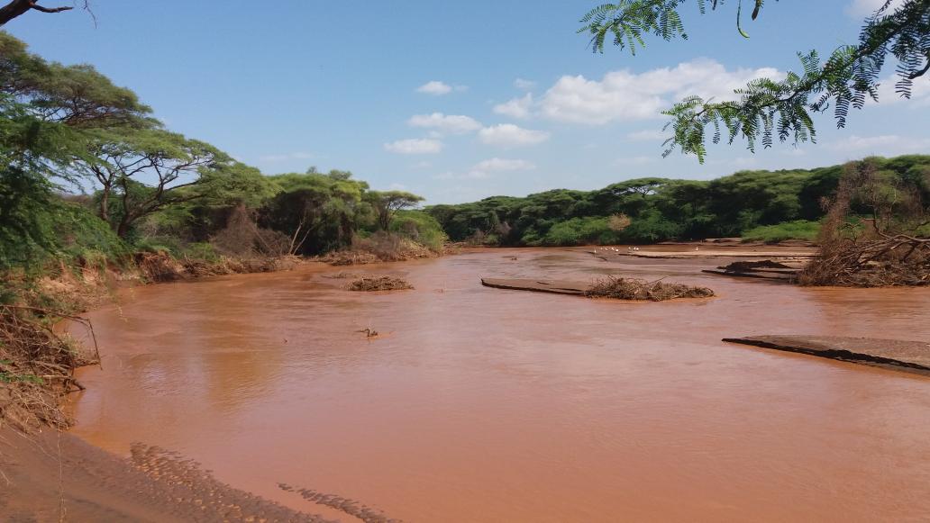 Ewaso Nyiro river near Merti, Isiolo.