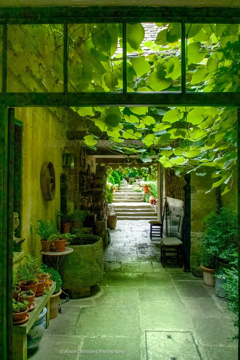 AlisonC24426188's tweet image. The Atrium©️. The Atrium is a garden room usually within the centre of a building. First introduced by the Romans. shop.photo4me.com/870271 &amp;amp; fineartamerica.com/featured/the-a… &amp;amp; alisonchambers2.redbubble.com &amp;amp; alisonchambers.picfair.com #wallart #fineartamerica #redbubble