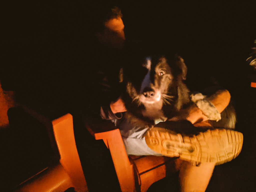 BruceMcfluffy's tweet image. #BackyardFire time!!