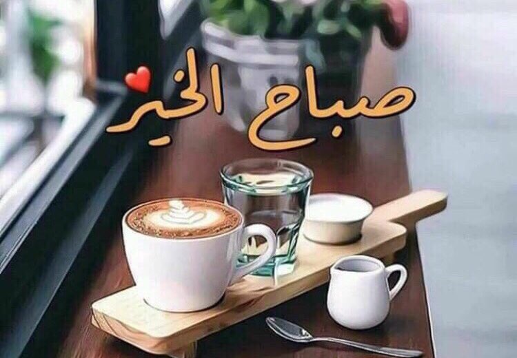 Si1804's tweet photo. قناعة ثم إبتسامة ثم توكل على الله لا تحتاج الحياة أكثر من ذلك 
صباح الخير
#برنس_حنين_للدعم
#رشة_عطر_الدعم
#مملكة_محمد_للدعم
#قروبات_عتيبه_الهيلا
#اصدقاء_ورد_للدعم 
#مملكة_روح_المسافر_للدعم 
#مملكة_الفيلسوف_للدعم      
#قروب_عيد_المطيري    
#الحان_هادئه_للدعم https://t.co/S7MH7rwLA0