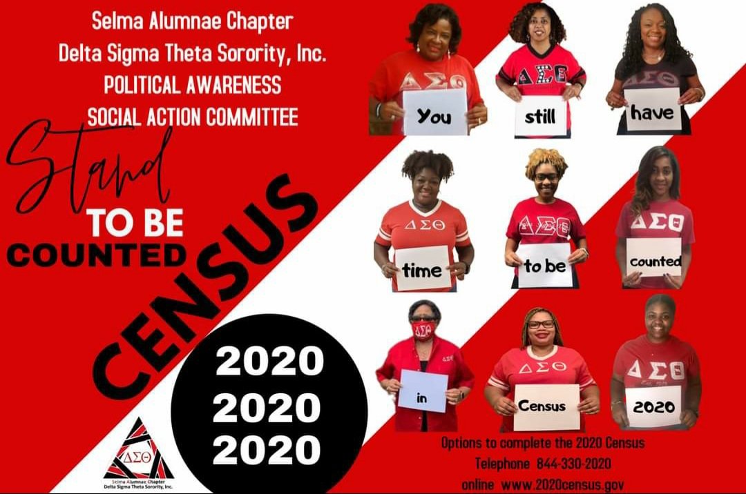 selma_inc's tweet photo. Selma Alumnae Chapter Delta Sigma Theta Sorority. Inc. https://t.co/tSa5SovfQ6