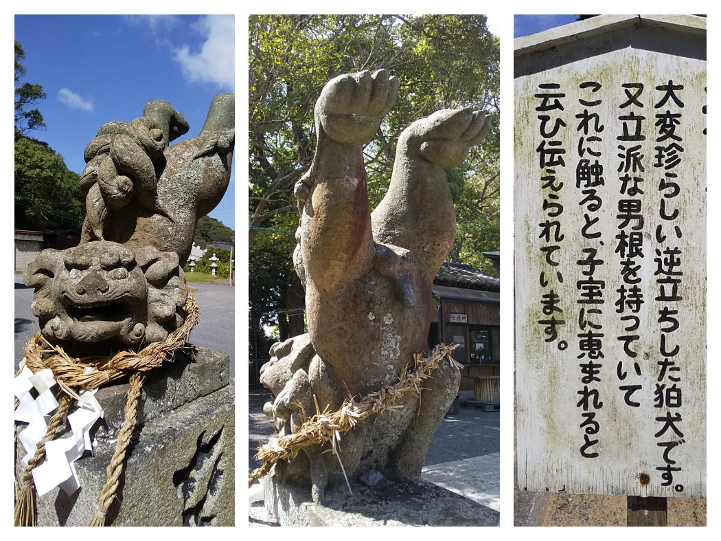 立派な男根を持った逆立ち狛犬。
#伊豆神社 #しなしな様