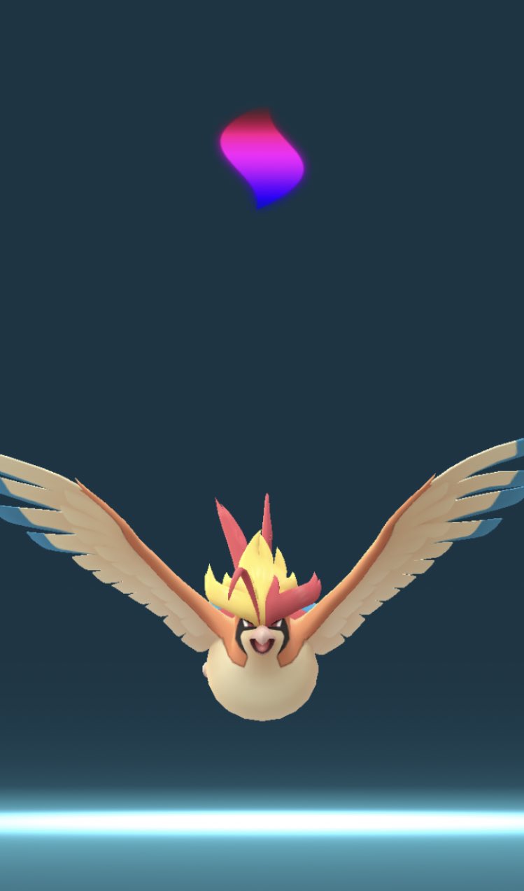 ミニリュウ文鳥𓅪 今日の鳥ポケモンエース ポケモンgo メガピジョット T Co 6wey52ox2o Twitter