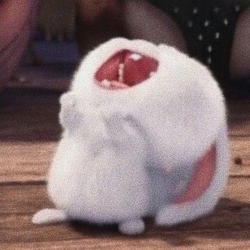 gulf kanawut as snowball the bunny — a thread   #GulfKanawut