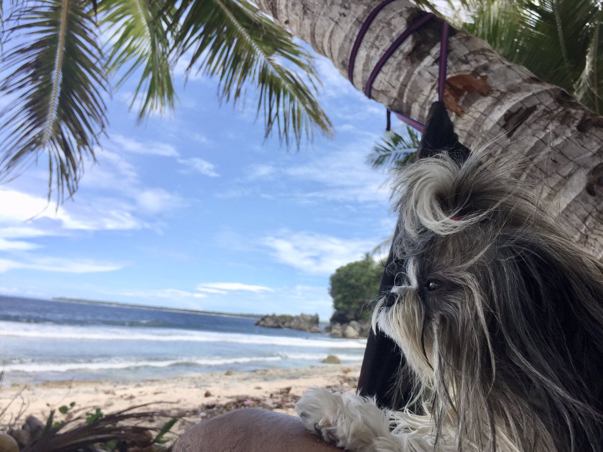 PapiGerger's tweet image. 🌊