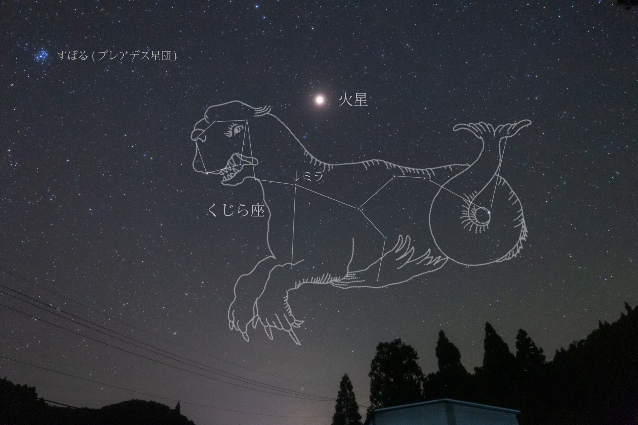 星の観察館「満天星」 على X: 