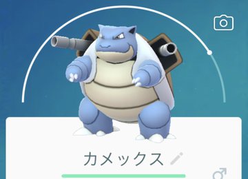 ポケモンgo ゼニガメ カメール カメックス のオススメ育成法 色違い メガシンカの姿 ロケットニュース24