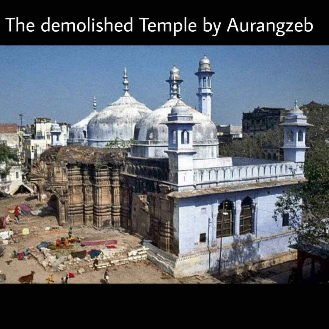 Finally, in 1780, Ahilya Bai Holkar, Malhar Rao’s daughter-in-law got the temple constructed.  #kashivishwanath  #uttarpradesh  #varanasi  #demolishedtemple  #gyanvapimosque
