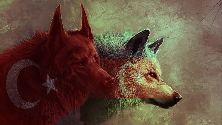 Bozkurtlar ulusun tanrı TÜRK’ü korusun! #Azerbaycan