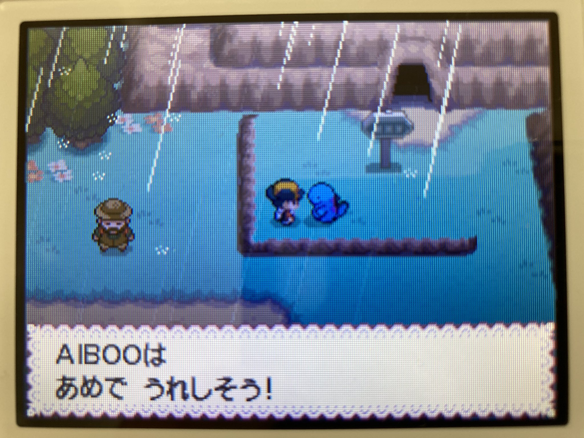 ケフィア 頑張らない ポケモンhgssの連れ歩き機能って神機能ですね ヌオーかわいい ポケモン ヌオー T Co Pc7spnsmmf Twitter