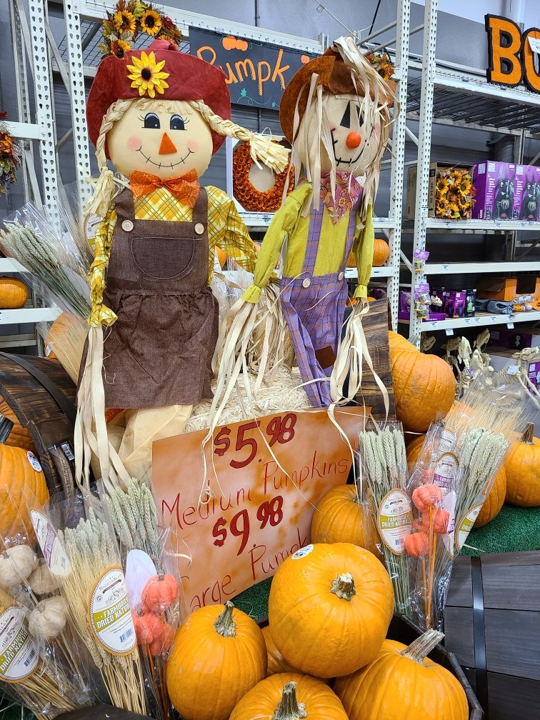 wtigers83's tweet image. Happy Fall Y'all! Pumpkins are ready at 421! @TomOrrPMD @mdlofnwhere @NagyAndrew