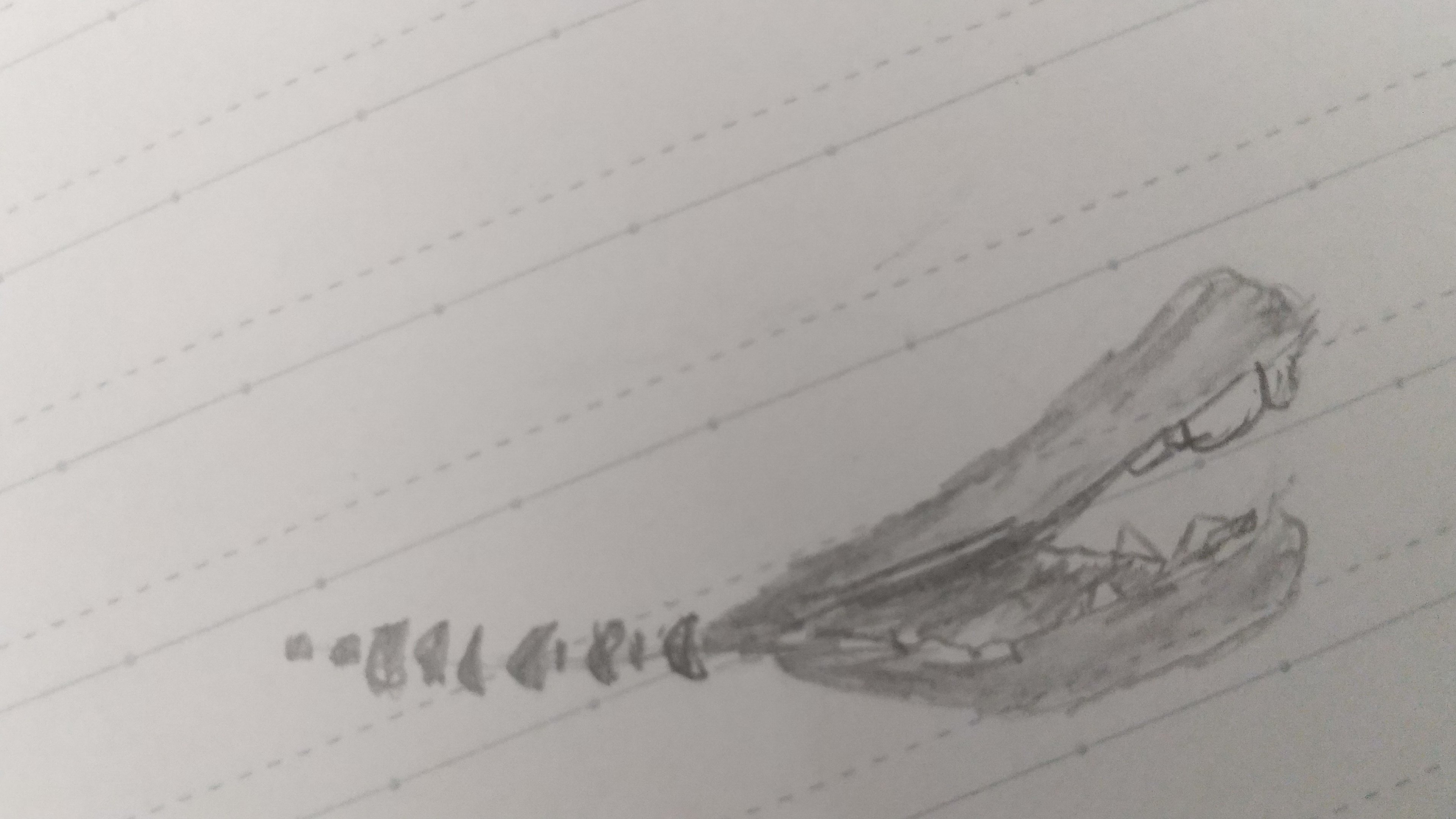 白黒みかん みかん Zlkqzrsf7bbdvnp Twitter