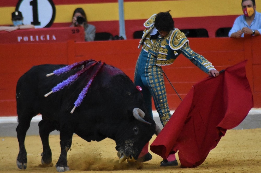 🏟️26.09.2020 Granada

📡Titulares de Prensa: 

👉Puerta Grande para Sebastián Castella👈

"El afán de Castella en una ejemplar corrida"
Vía <a href="/cultorocom/">Cultoro</a>