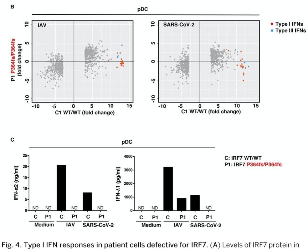 6/Variants impair innate immunity to SARS-CoV-2. Cells from patients with AR IRF7 don't produce type 1 or type 3 IFN after SARS-CoV-2 infection and IAV (flu) infection.
