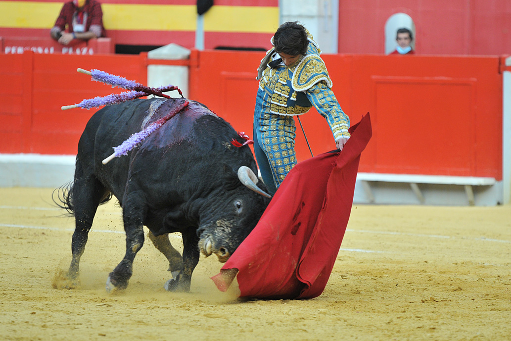 🏟️26.09.2020 Granada

📡Titulares de Prensa: 

👉Puerta Grande para Sebastián Castella👈

"Sebastián Castella tiró de raza y actitud para sobreponerse a sus lotes"
Vía <a href="/aplausos/">Aplausos</a>