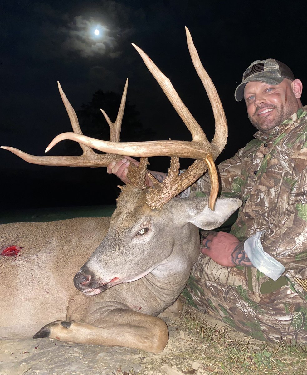 Matt Brewster tweet media