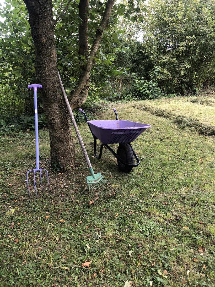 Rosyhardy62's tweet photo. All raked up ready for @cameronhrdy to pick up and take to the woodland @RobHardyPlants #lastbit #hay #wildflowers https://t.co/37vRmw6VYZ