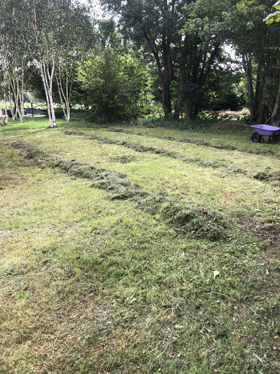 Rosyhardy62's tweet photo. All raked up ready for @cameronhrdy to pick up and take to the woodland @RobHardyPlants #lastbit #hay #wildflowers https://t.co/37vRmw6VYZ