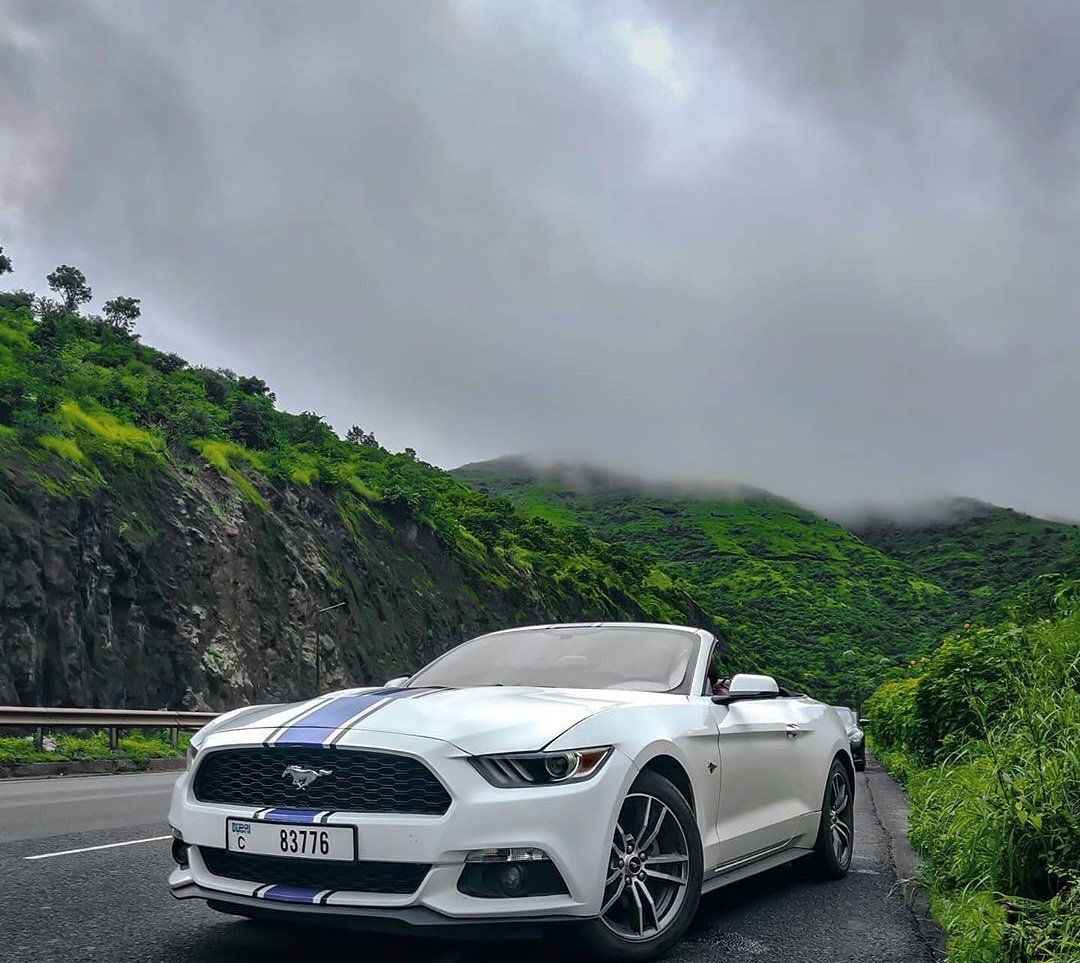 StarboyHyd's tweet photo. My future speaks
When i buy a #Mustang https://t.co/MOyH0lJdHY