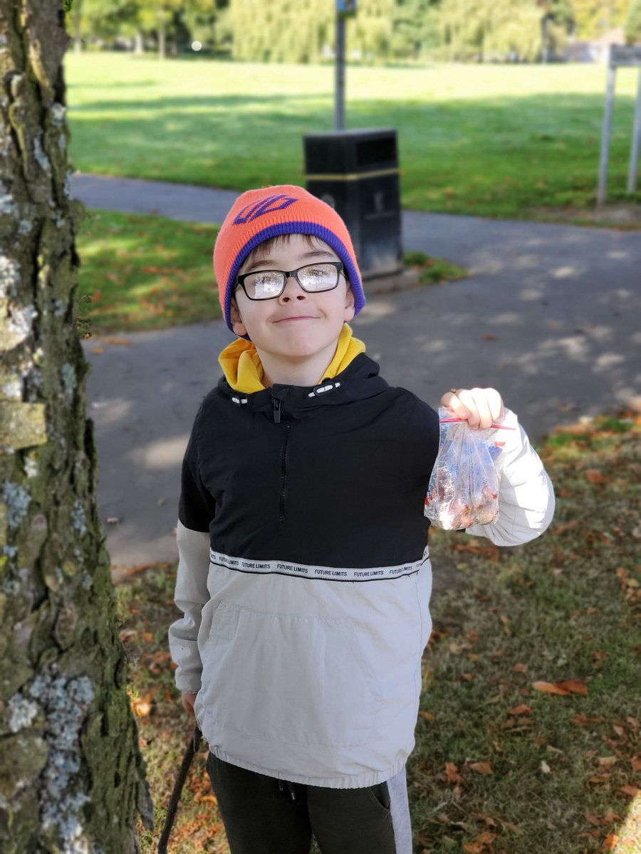 Busy morning down the park collecting conkers 🍃 🍂  🍁